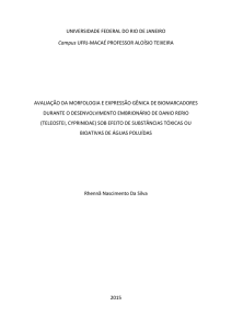 avaliação da morfologia e expressão gênica de - PPGCIAC