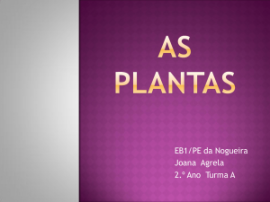 As plantas 2