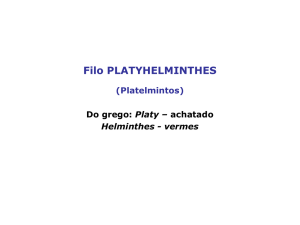 Filo PLATYHELMINTHES - Laboratório de Biologia