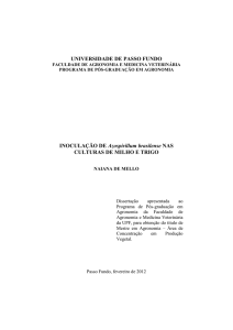 Inoculação de Azospirillum brasilense e doses de - PPGAgro