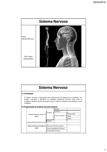 Sistema Nervoso