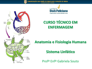 sistema linfático - Colégio Dom Feliciano