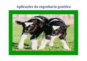 Aplicações da engenharia genética