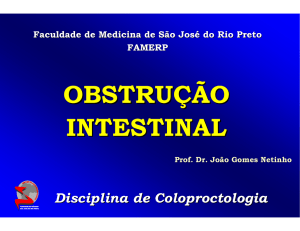obstrução intestinal - Clínica Dr. Netinho