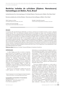 Bactérias isoladas de culicídeos (Diptera: Nematocera