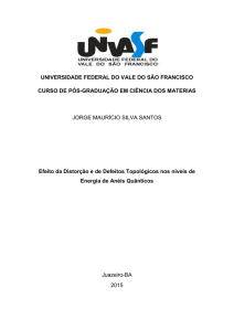 Efeito da Distorção e de Defeitos Topológicos nos níveis de Energia