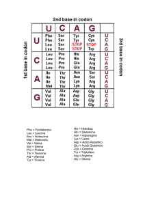 Phe = Fenilalanina Leu = Leucina Ileu = Isoleucina Met = Metionina