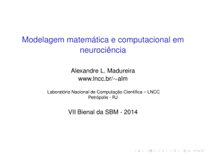 Modelagem matemática e computacional em neurociência - IM-UFAL