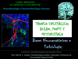 Neurohistologia e Neuroembriologia Humana