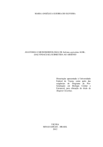 ANATOMIA E MICROMORFOLOGIA DE Salvinia