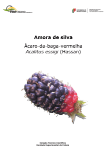 Amora de silva Ácaro-da-baga-vermelha Acalitus essigi