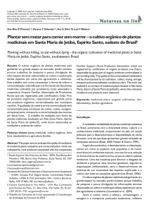 Plantar sem matar para comer sem morrer – o cultivo orgânico de