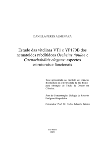 Estudo das vitelinas VT1 e YP170B dos nematoides - Free