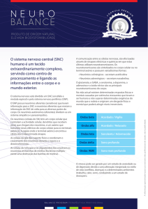 10ft neuro balance copy