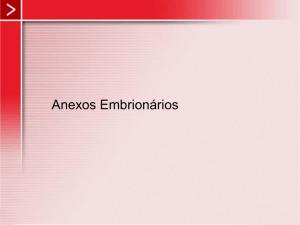 Embriologia III Anexos