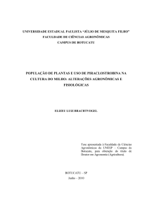 POPULAÇÃO DE PLANTAS E USO DE PIRACLOSTROBINA NA