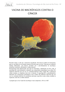 vacina de macrófagos macrófagos macrófagos contra o câncer