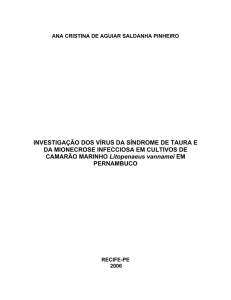 INVESTIGAÇÃO DOS VÍRUS DA SÍNDROME DE TAURA E DA