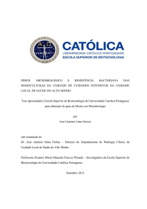 Tese_Catarina Garcez - Universidade Católica Portuguesa