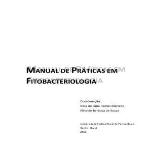 MANUAL DE PRÁTICAS EM FITOBACTERIOLOGIA