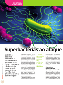 Superbactérias ao ataque