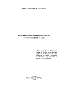 HAMILTON MENDES DE FIGUEIREDO ADESÃO BACTERIANA EM