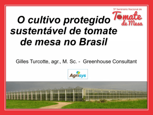 O cultivo protegido sustentável de tomate de mesa no Brasil