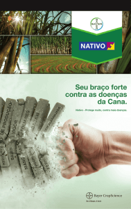 Nativo Cana - Agro Bayer