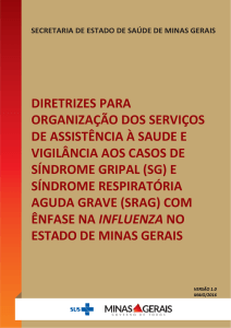 Diretrizes e Organização da Influenza