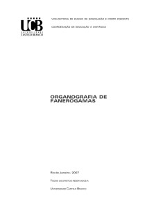 Organografia de Fanerógamas.p65