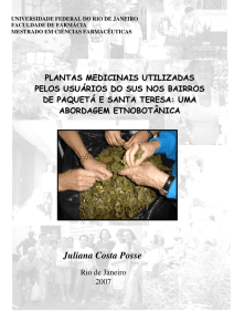 Plantas medicinais utilizadas pelos usuários do SUS nos