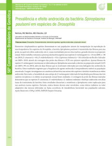 Prevalência e efeito androcida da bactéria Spiroplasma poulsonii