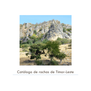 Catálogo de rochas ornamentais timorenses
