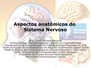 Aspectos anatômicos do Sistema Nervoso