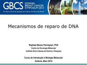 Mecanismos de reparo do DNA DNA repair mechanism