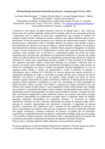 rodrigues et al. resumo histo-pirarucu 16.03.2012