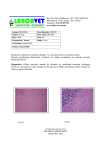 RICARDO LINDSTAEDT CRMV-RS: 5434 Biopsia de