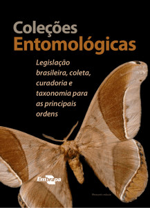 Coleções Entomológicas: legislação brasileira, coleta, curadoria e