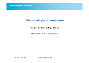 Microbiologia do solo