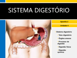 Sistema Digestório (2017) vf
