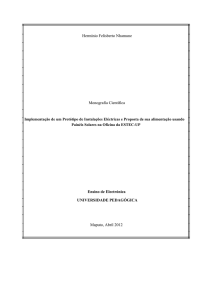 Hermínio Felisberto Nhamune Monografia Científica