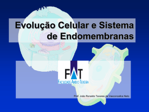 Evolução Celular e Sistema de Endomembranas