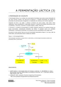 preparação de chucrute PDF - BioTecnologia
