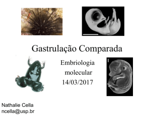 Gastrul Fechamento embriomol 2017