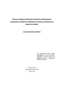 efeito de lâminas de irrigação e doses de