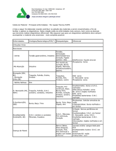 Imprimir versão PDF