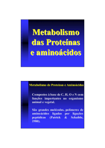 Metabolismo das Proteínas e aminoácidos