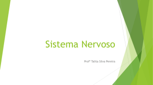 Sistema Nervosos - Universo de Cursos