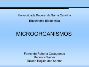 MICROORGANISMOS