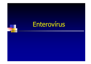 Enterovírus